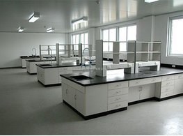 闵行制药厂全木质实验室家具