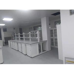 徐汇大学全钢制实验室家具